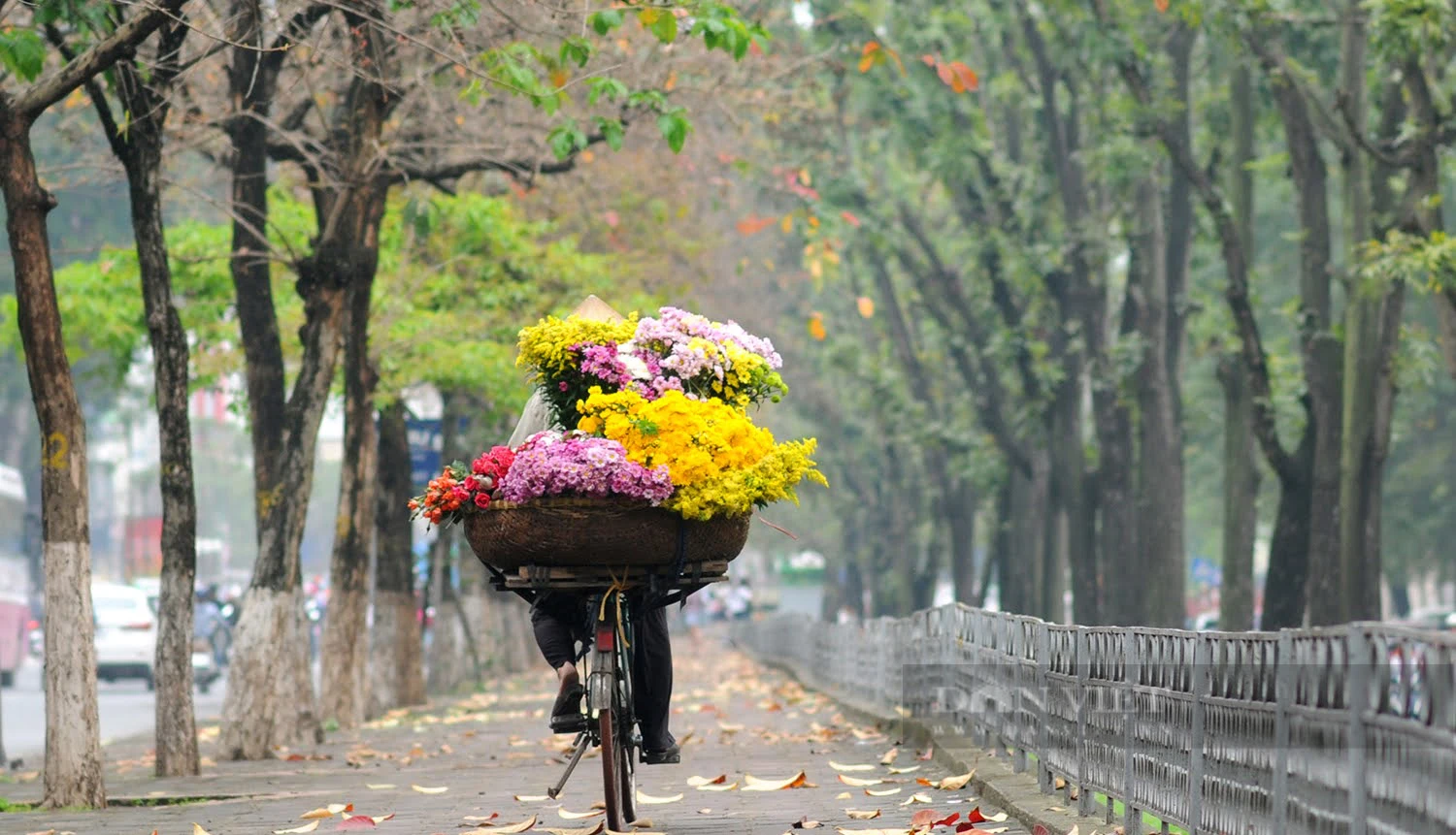 Một Hà Nội xanh nhìn từ camera bay- Ảnh 7.