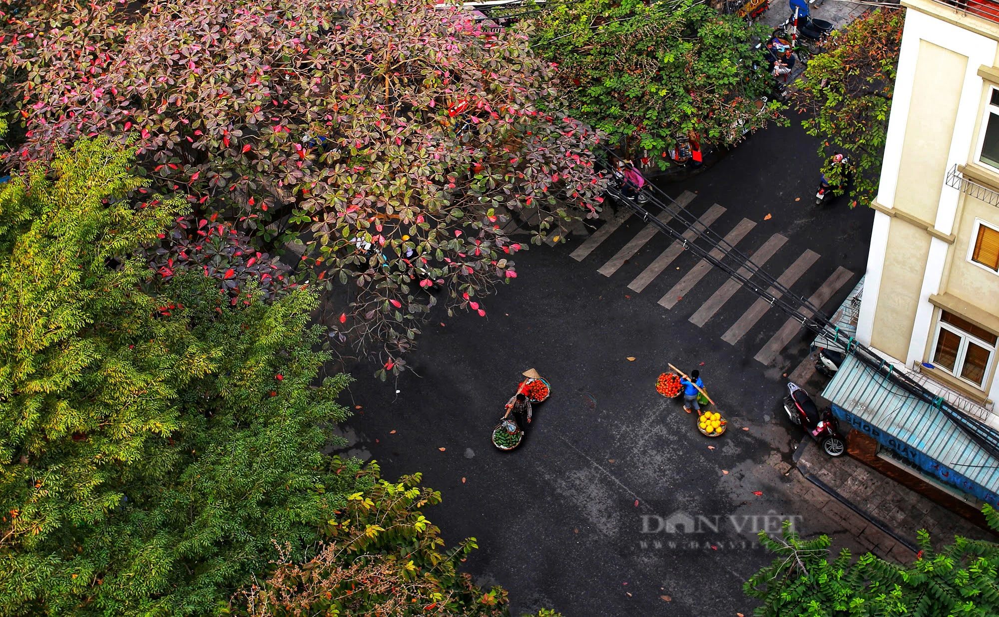 Một Hà Nội xanh nhìn từ camera bay- Ảnh 8.