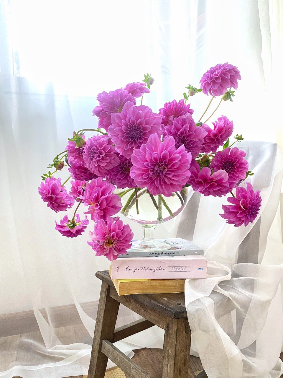 Mẹ đảm Hà thành chỉ cách dưỡng hoa thược dược tươi lâu ngày Tết- Ảnh 7.