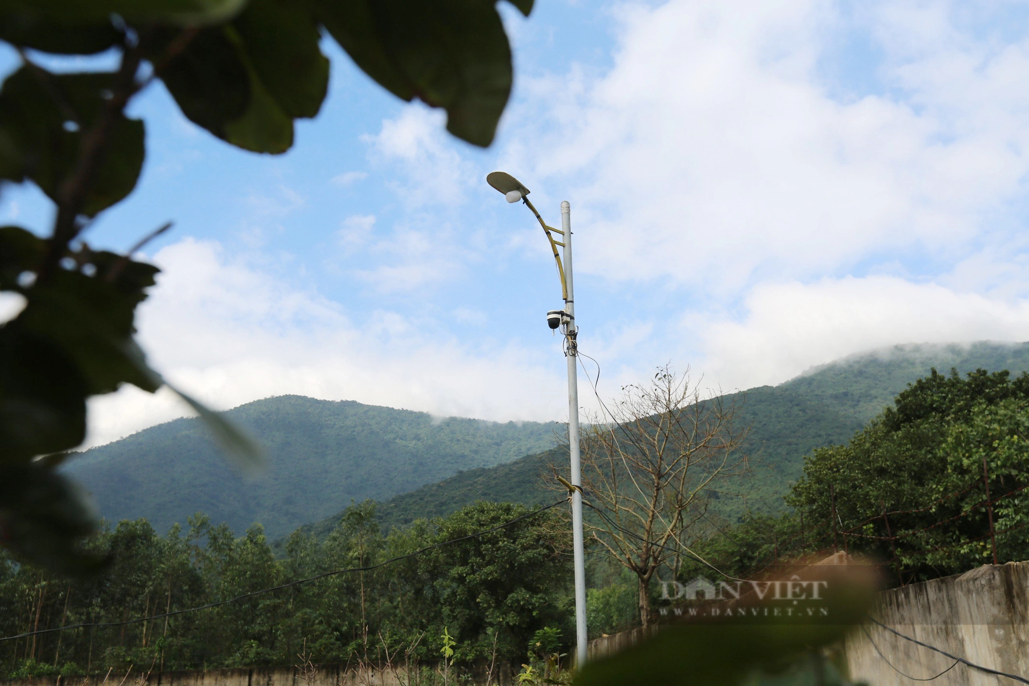 Làng mai ở Hà Tĩnh hối hả vào vụ Tết, giá hàng chục triệu/cây vẫn “cháy hàng”- Ảnh 13.