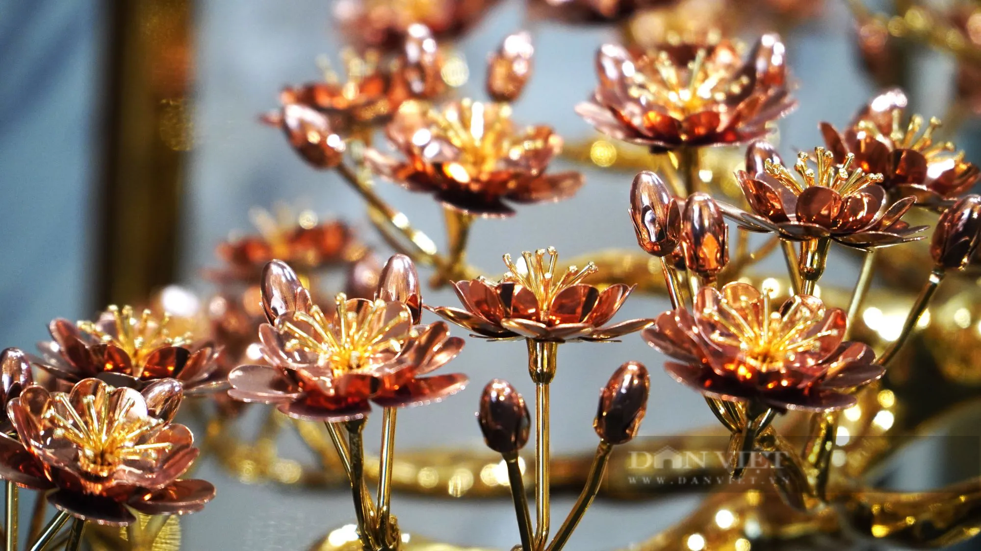 Doanh nhân "trồng" cây đào mạ vàng 24k lớn nhất Việt Nam, giá trên tỷ đồng- Ảnh 5.