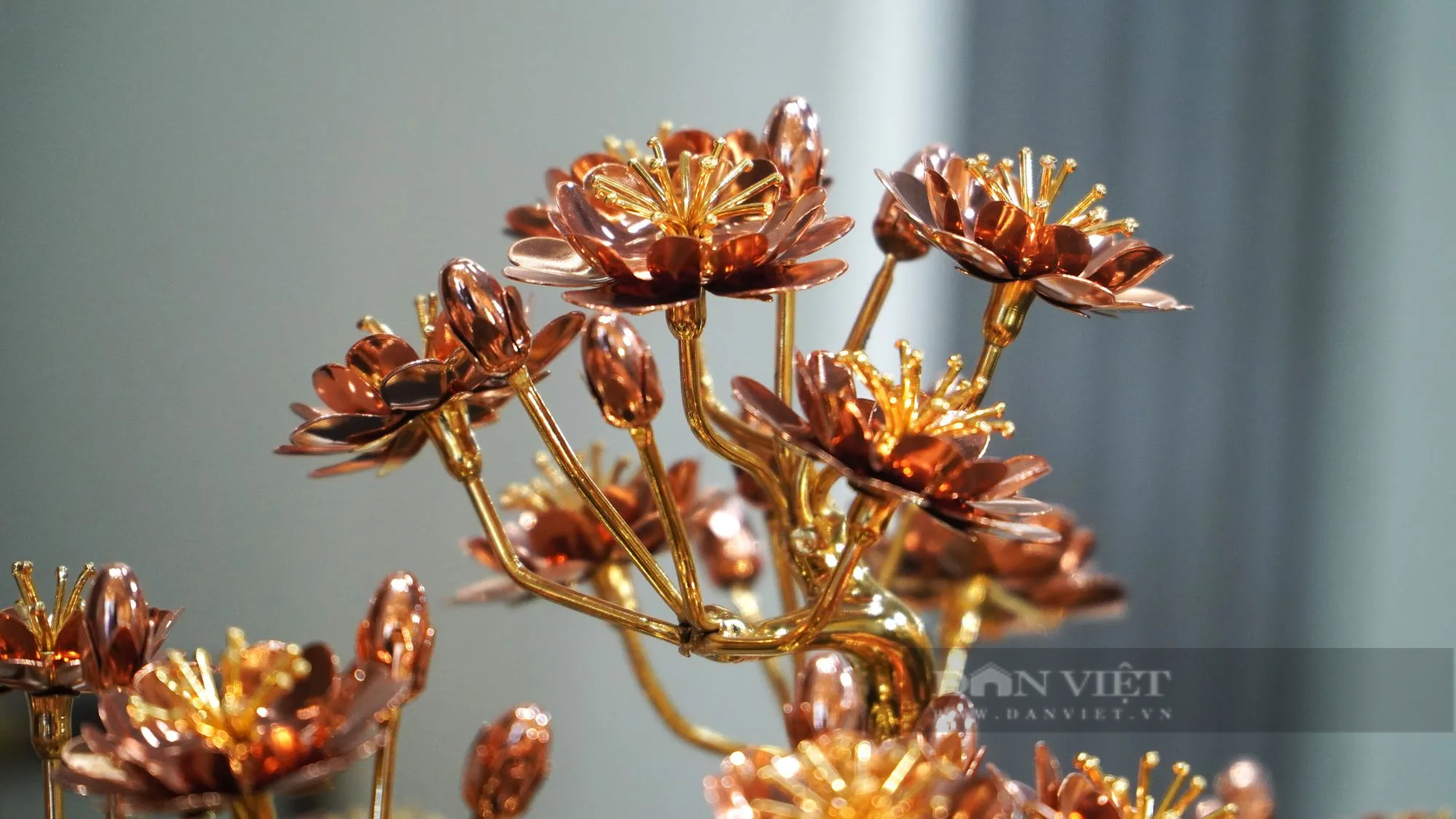 Doanh nhân "trồng" cây đào mạ vàng 24k lớn nhất Việt Nam, giá trên tỷ đồng- Ảnh 7.