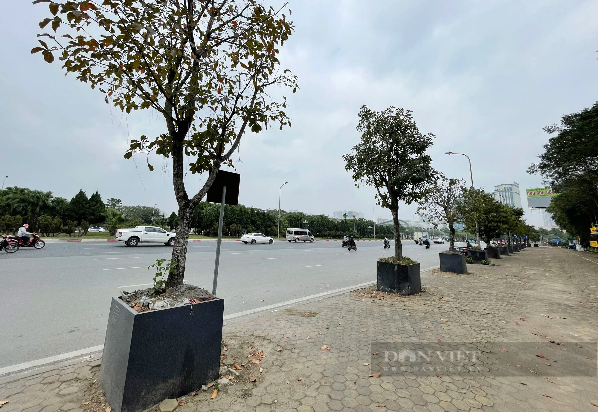 Hàng chục cây xanh trồng trong hộp nhựa cạnh SVĐ Mỹ Đình phát triển ra sao sau hơn 3 năm?- Ảnh 9.