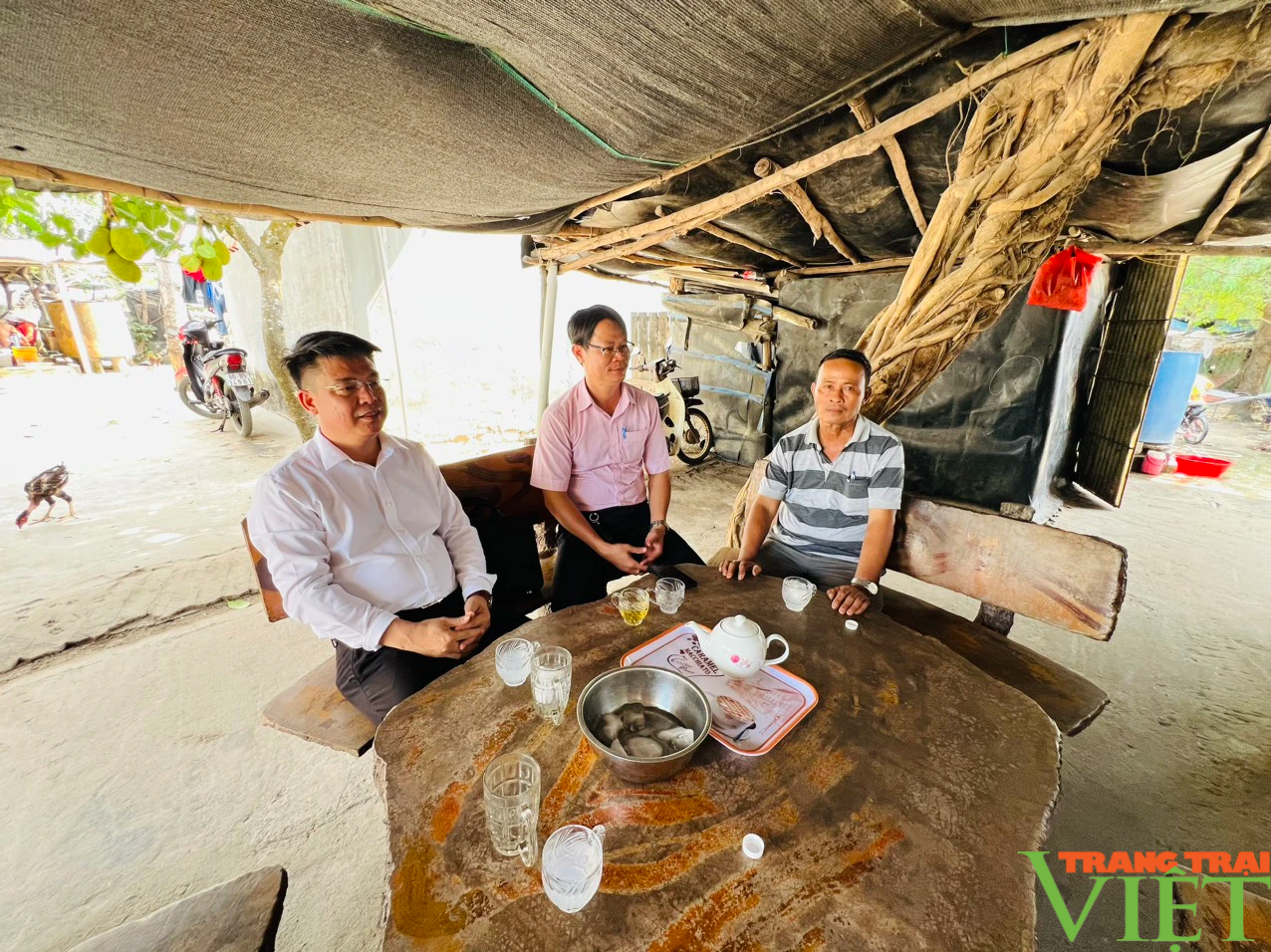 Nguồn vốn ưu đãi của Chính phủ tiếp sức cho đối tượng chính sách Bình Thuận thoát nghèo- Ảnh 3. Nguồn vốn ưu đãi của Chính phủ tiếp sức cho đối tượng chính sách Bình Thuận thoát nghèo- Ảnh 3.