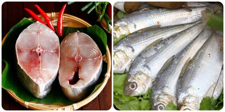 4 loại cá biển ngon, giàu dinh dưỡng ai cũng nên ăn mỗi tuần- Ảnh 1. 4 loại cá biển ngon, giàu dinh dưỡng ai cũng nên ăn mỗi tuần- Ảnh 1.