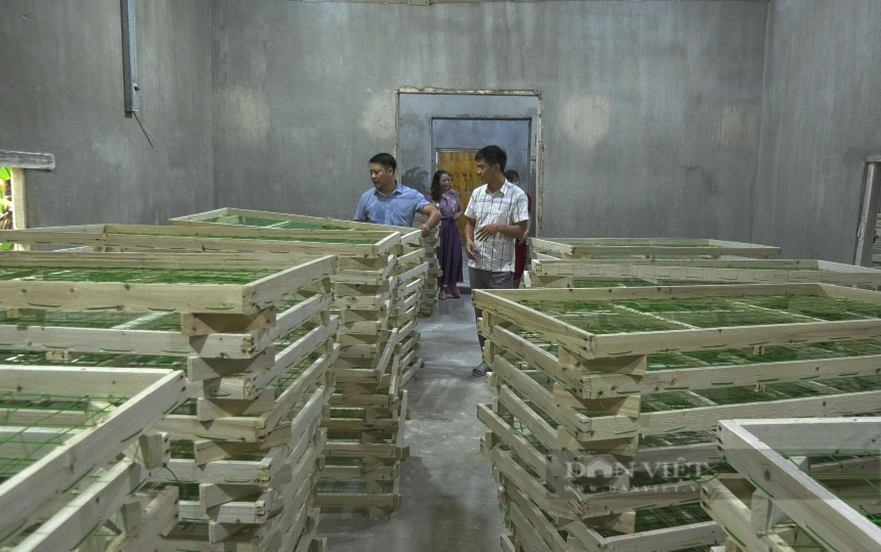 Cán bộ, hội viên nông dân tỉnh Cao Bằng kiến nghị, đề xuất gì với Trung ương Hội và Bộ Nông nghiệp?- Ảnh 2.