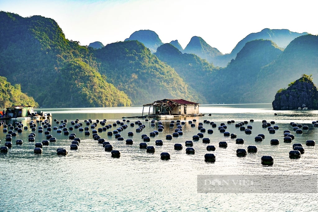 Người dân Vân Đồn (Quảng Ninh) nỗ lực phục hồi sau bão Yagi- Ảnh 12.