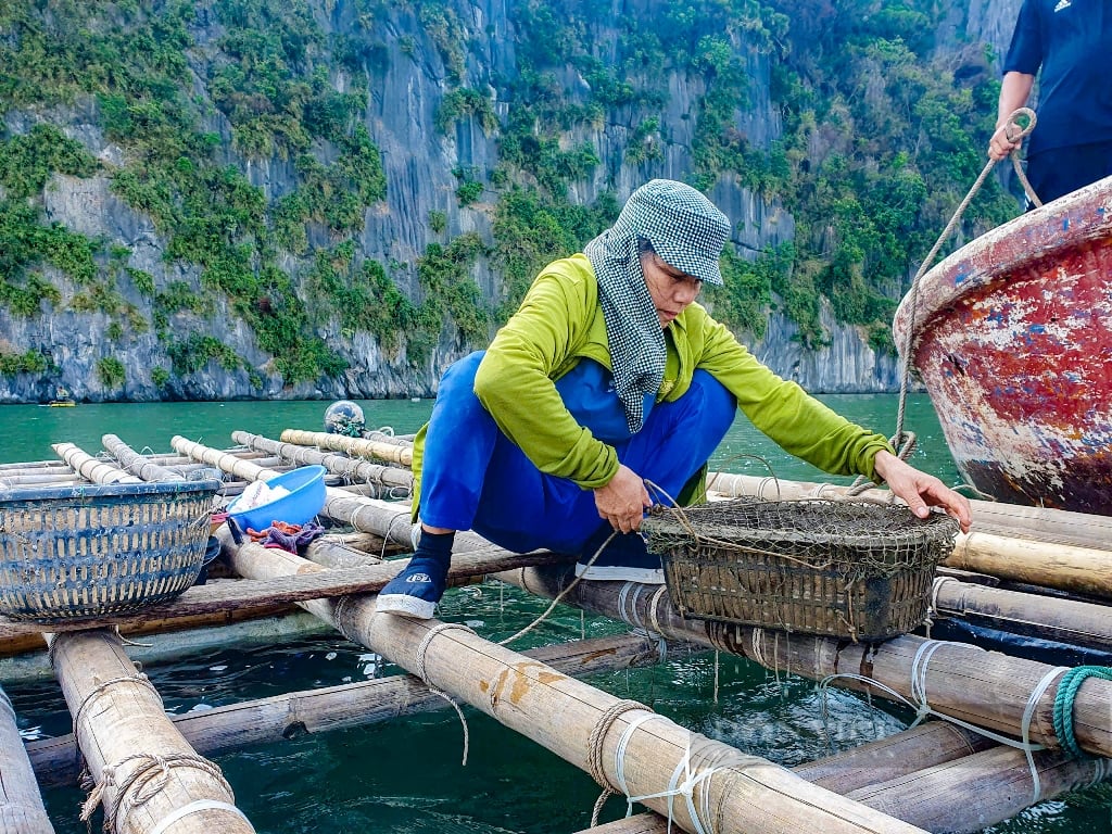 Người dân Vân Đồn (Quảng Ninh) nỗ lực phục hồi sau bão Yagi- Ảnh 5.