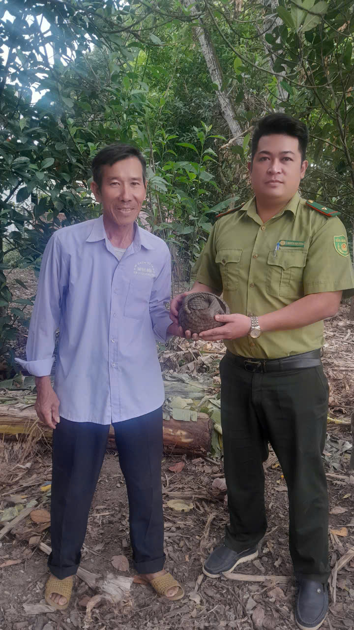 Người dân Đà Nẵng giao nộp diều hâu, tê tê Java, chim cát bụng trắng, toàn con động vật hoang dã cho kiểm lâm- Ảnh 2.