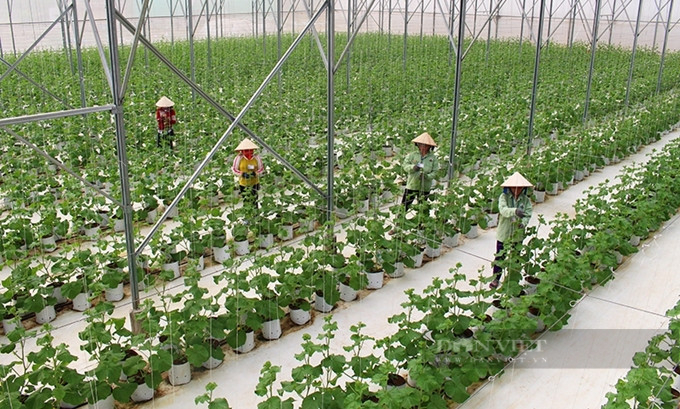 Bình Phước tăng tốc chuyển đổi số cho sản phẩm OCOP - Ảnh 6.