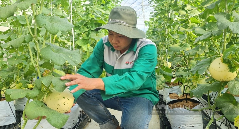 Bình Phước tăng tốc chuyển đổi số cho sản phẩm OCOP - Ảnh 4.