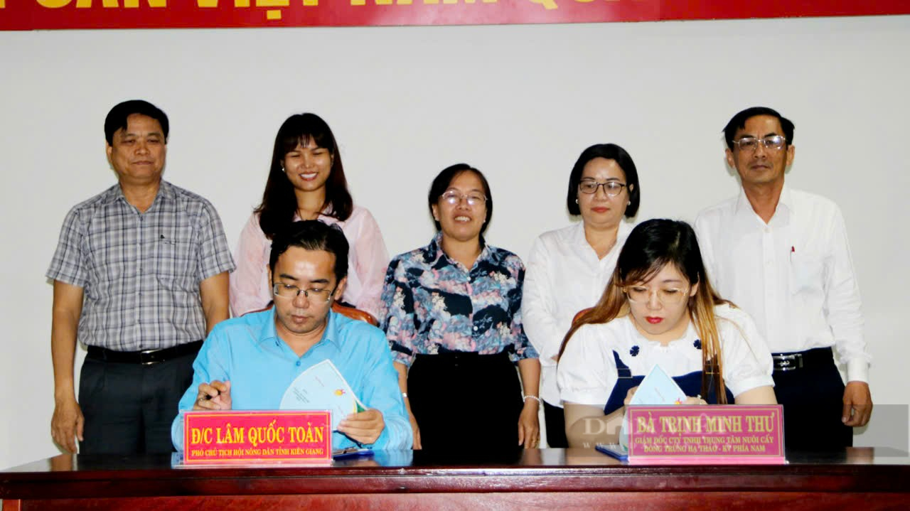 Hội Nông dân tỉnh Kiên Giang: 9 tháng có 11/19 chỉ tiêu đạt và vượt trên 100% - Ảnh 2.