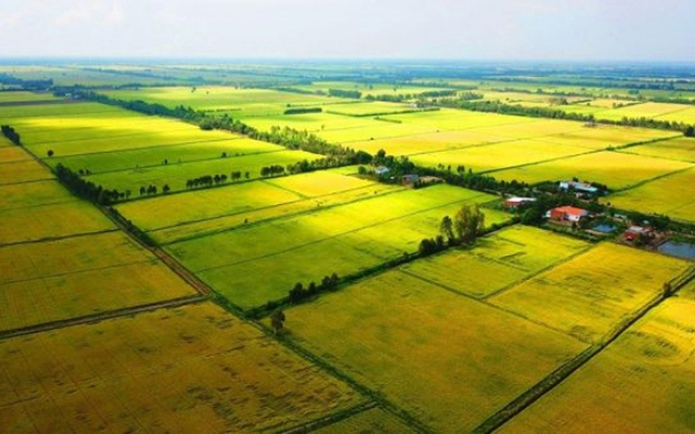 13 tỉnh bị Thủ tướng phê bình vì chưa ban hành văn bản nào thi hành Luật Đất đai - Ảnh 2.