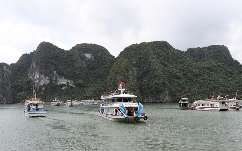Từ ngày 20/10/2024, phương tiện thủy phục vụ khách du lịch trên vịnh Hạ Long, vịnh Bái Tử Long cần lưu ý những gì? - Ảnh 1.