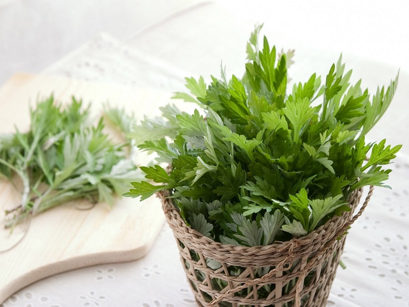 Loại rau vườn ngỡ như rau dại này đem nấu canh trứng kẻ chê người thèm, bọc túi chườm sảng khoái tinh thần - Ảnh 1.