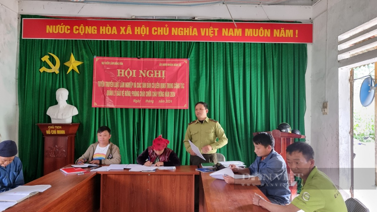 Cán bộ Kiểm lâm bốn lần xin thôi chức để "đi rừng" trên cao nguyên đá- Ảnh 3.