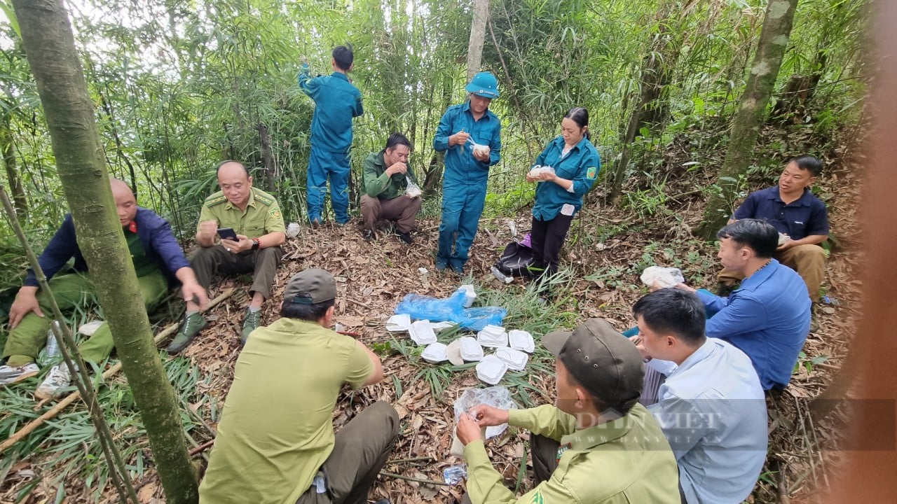 Cán bộ Kiểm lâm bốn lần xin thôi chức để "đi rừng" trên cao nguyên đá- Ảnh 5.