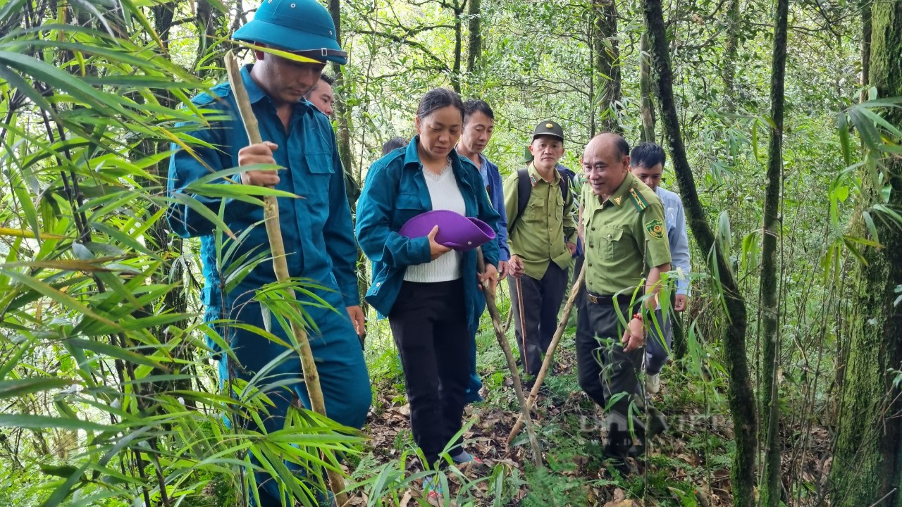 Cán bộ Kiểm lâm bốn lần xin thôi chức để "đi rừng" trên cao nguyên đá- Ảnh 2.