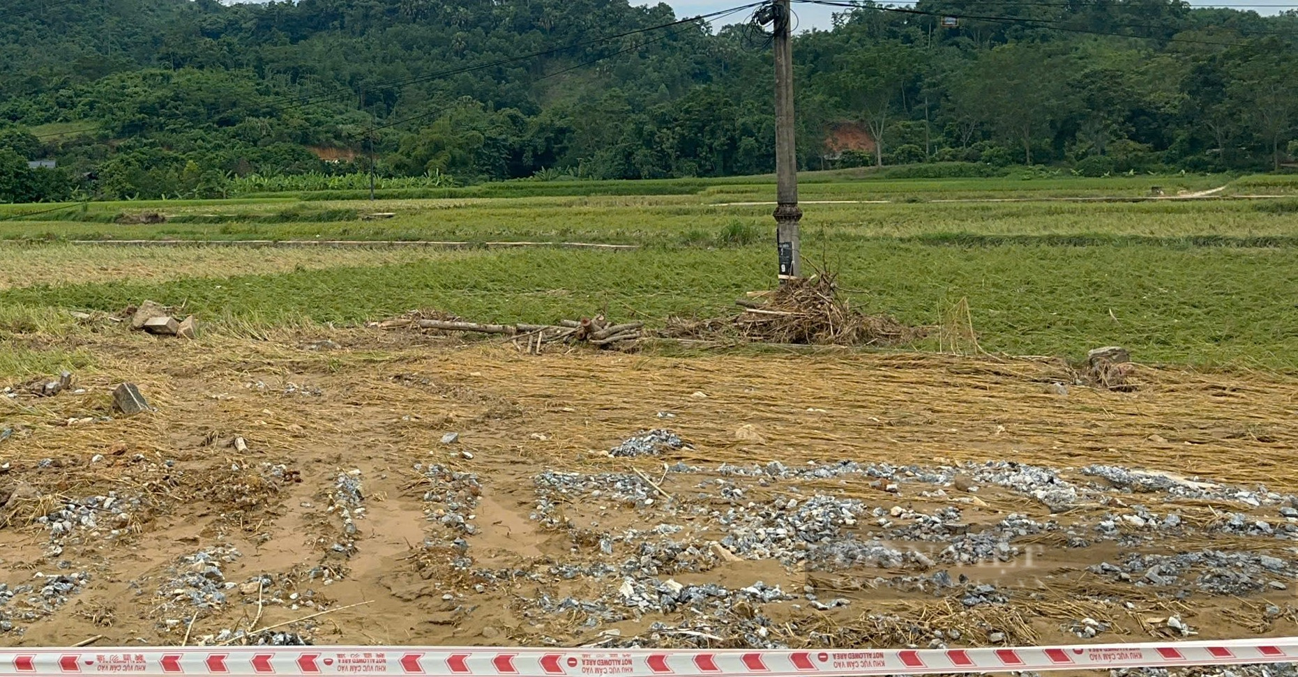 Nông dân kiệt sức sau bão lũ lịch sử: Dân có nguy cơ thiếu đói bên "bờ xôi ruộng mật" (Bài 4) - Ảnh 5.