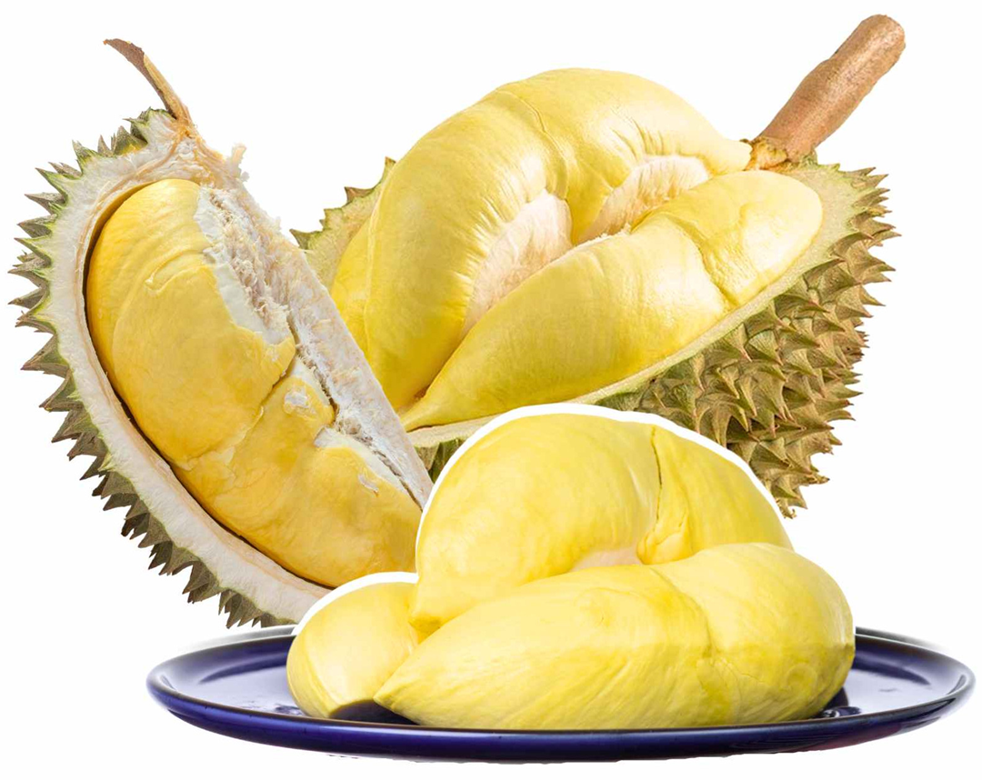 Ở nhà trồng 1 loại cây "quý như vàng", ông nông dân nhẹ nhàng kiếm hơn 1 tỷ đồng- Ảnh 3. Ở nhà trồng 1 loại cây "quý như vàng", ông nông dân nhẹ nhàng kiếm hơn 1 tỷ đồng- Ảnh 3.