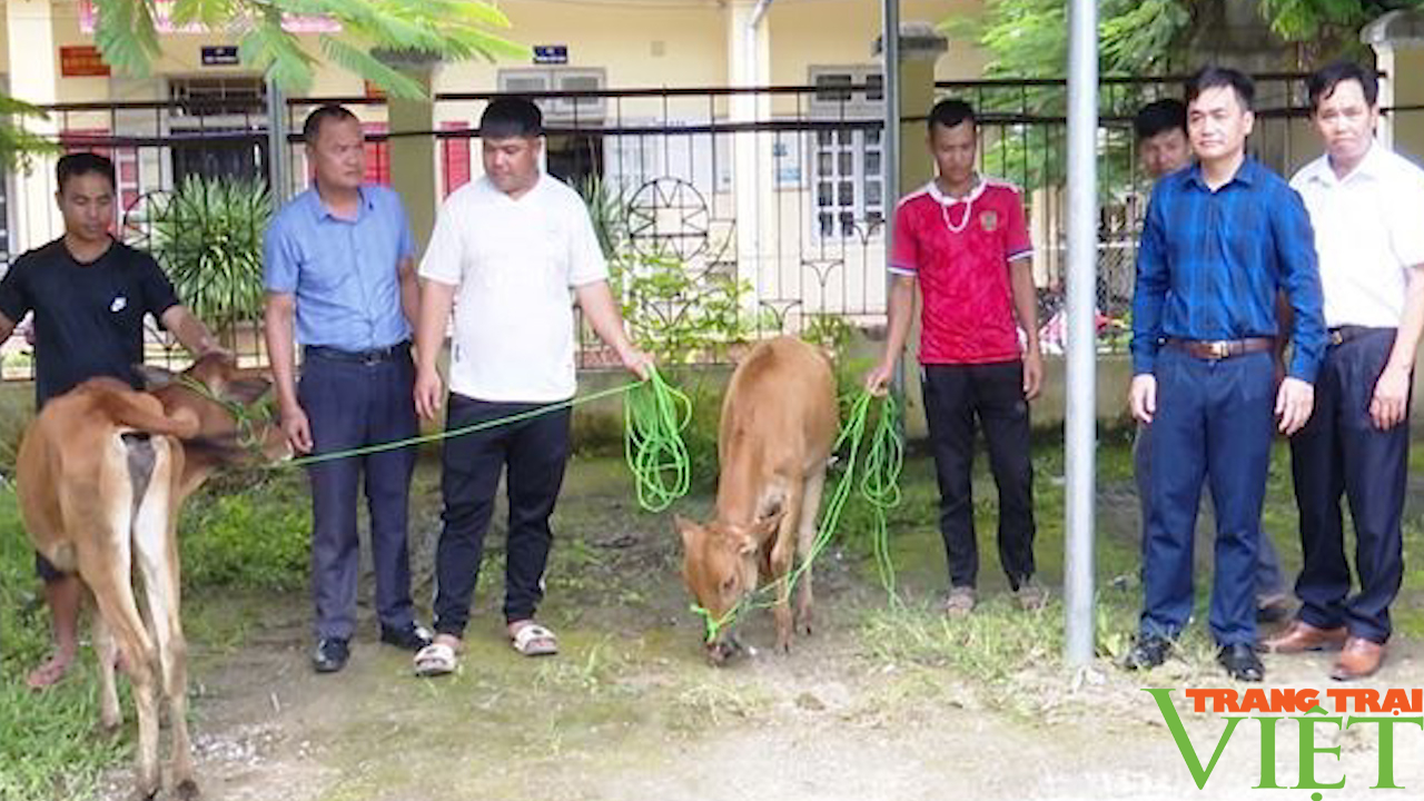 Hỗ trợ hội viên nông dân nghèo các xã vùng III phát triển kinh tế - Ảnh 4.