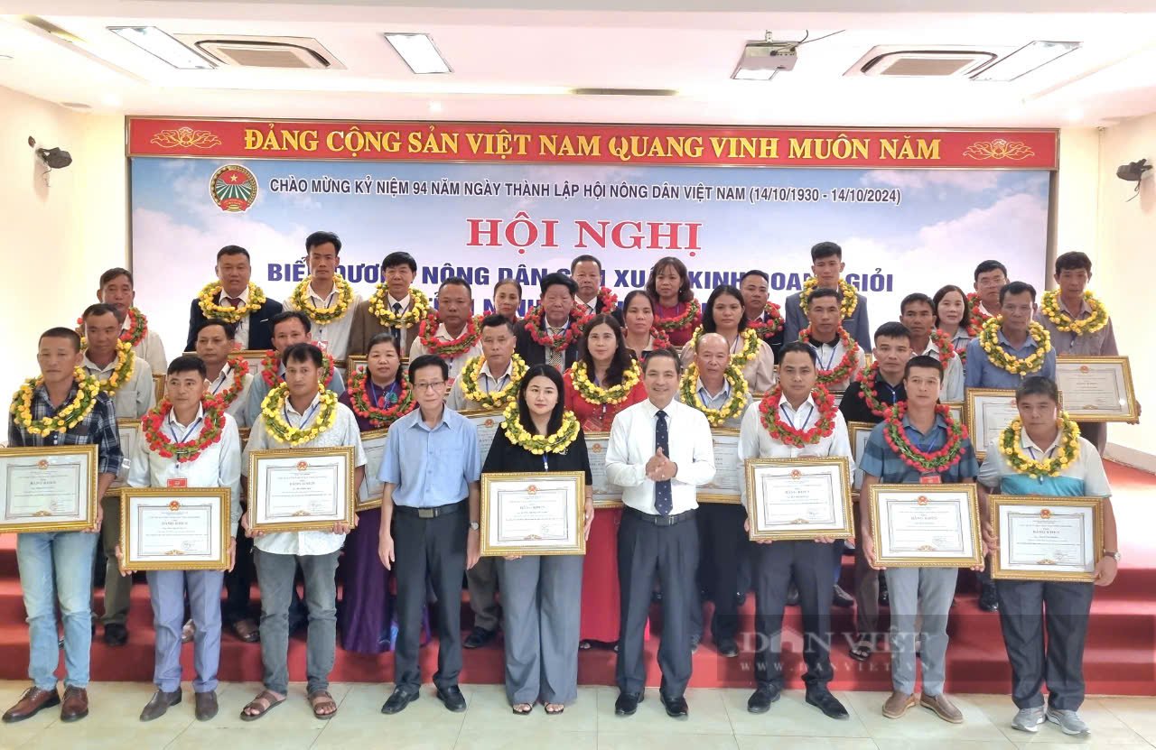 Phó Chủ tịch Bùi Thị Thơm dự hội nghị biểu dương nông dân sản xuất, kinh doanh giỏi Ninh Bình- Ảnh 8.