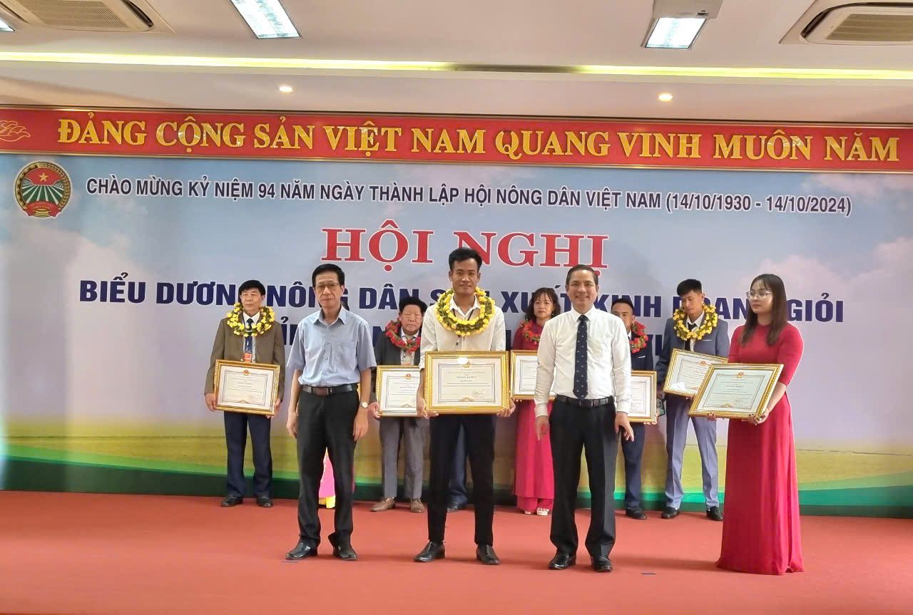 Phó Chủ tịch Bùi Thị Thơm dự hội nghị biểu dương nông dân sản xuất, kinh doanh giỏi Ninh Bình- Ảnh 2.