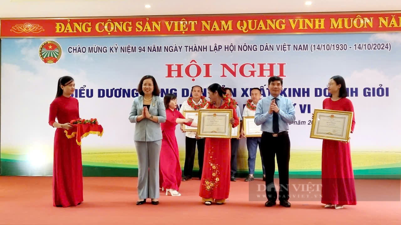Phó Chủ tịch Bùi Thị Thơm dự hội nghị biểu dương nông dân sản xuất, kinh doanh giỏi Ninh Bình- Ảnh 6.