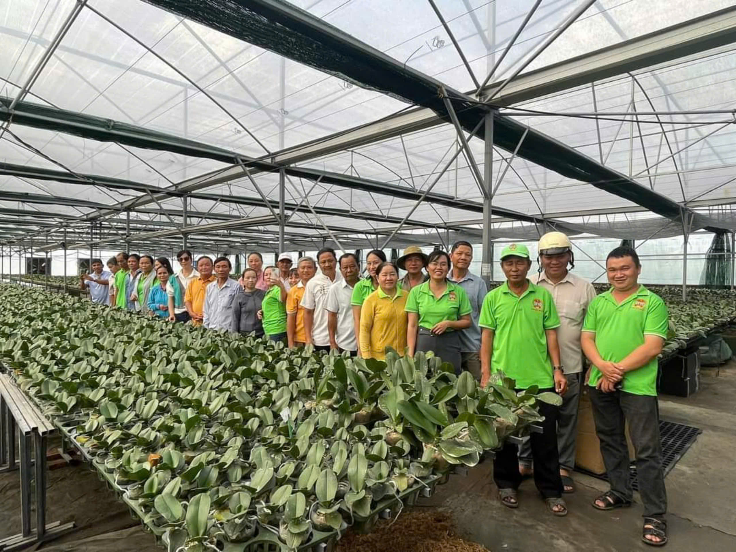 Nông dân TP.HCM xây dựng cánh đồng thân thiện môi trường, hướng đến nông thôn mới kiểu mẫu - Ảnh 2.
