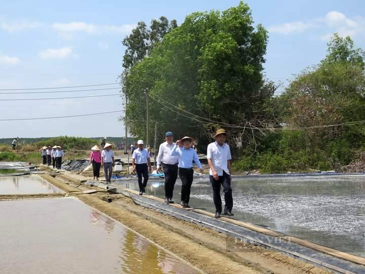 Mỗi huyện ở TP.HCM có 1 sản phẩm du lịch nông thôn  - Ảnh 2.