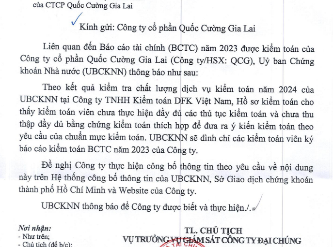 Đình chỉ các kiểm toán viên ký báo cáo tài chính cho Quốc Cường Gia Lai- Ảnh 1.