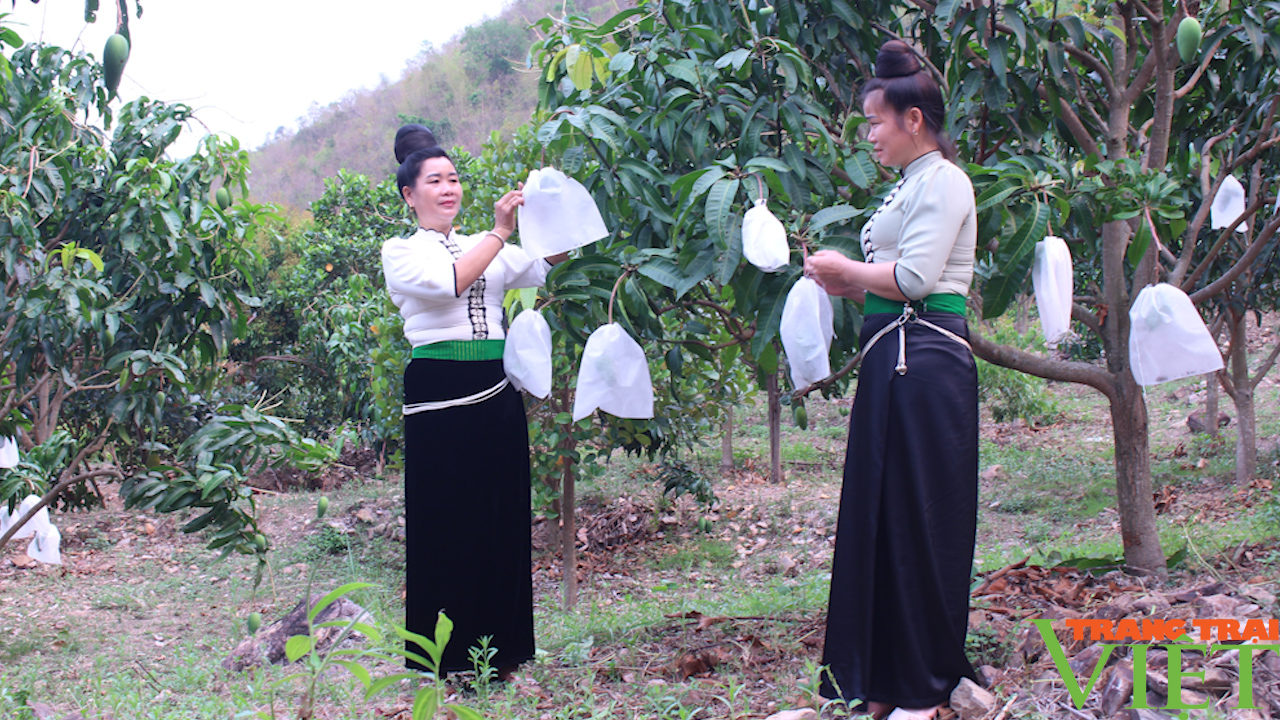 Ứng dụng khoa học công nghệ vào sản xuất nông nghiệp vùng dân tộc thiểu số - Ảnh 2.