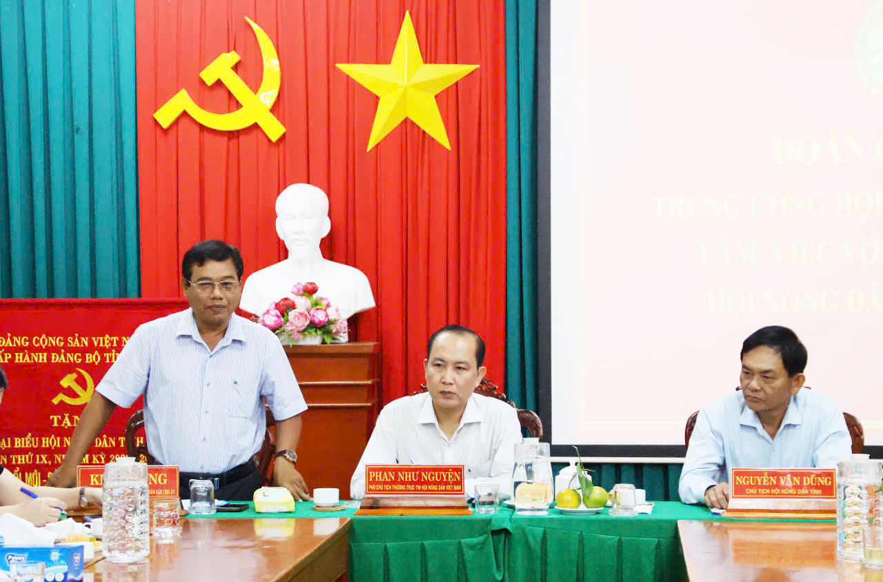 Phó Chủ tịch Thường trực Hội NDVN Phan Như Nguyện thăm mô hình trồng chanh ở Trà Vinh - Ảnh 1.
