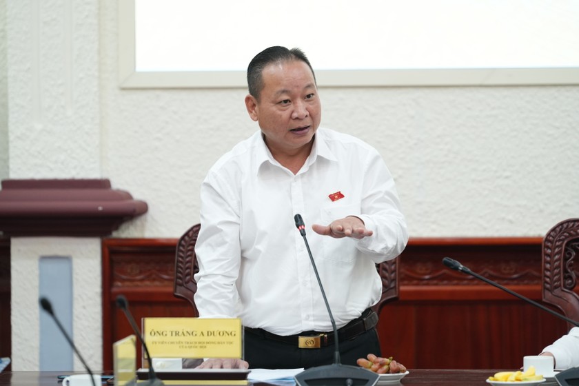 Chuyên gia, Đại biểu Quốc hội góp ý về lộ trình tăng Thuế Tiêu thụ đặc biệt với thuốc lá- Ảnh 4.