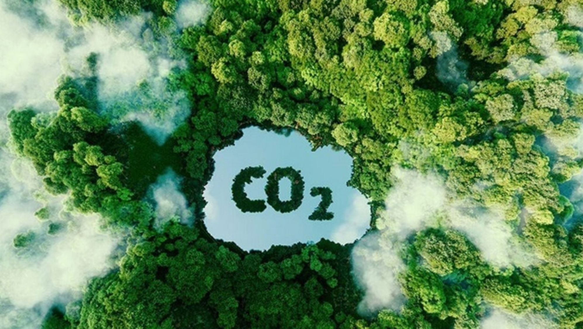 Tọa đàm: Phát triển kinh tế xanh trong nông nghiệp- nhìn từ tín chỉ carbon rừng và thực thi EUDR - Ảnh 1.