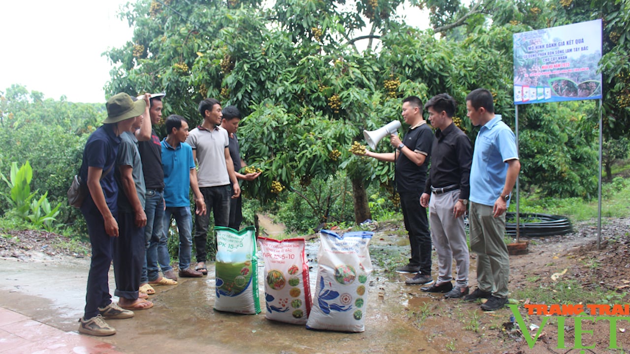 Phân bón Sông Lam Tây Bắc: Giúp nông dân có một mùa bội thu - Ảnh 5.