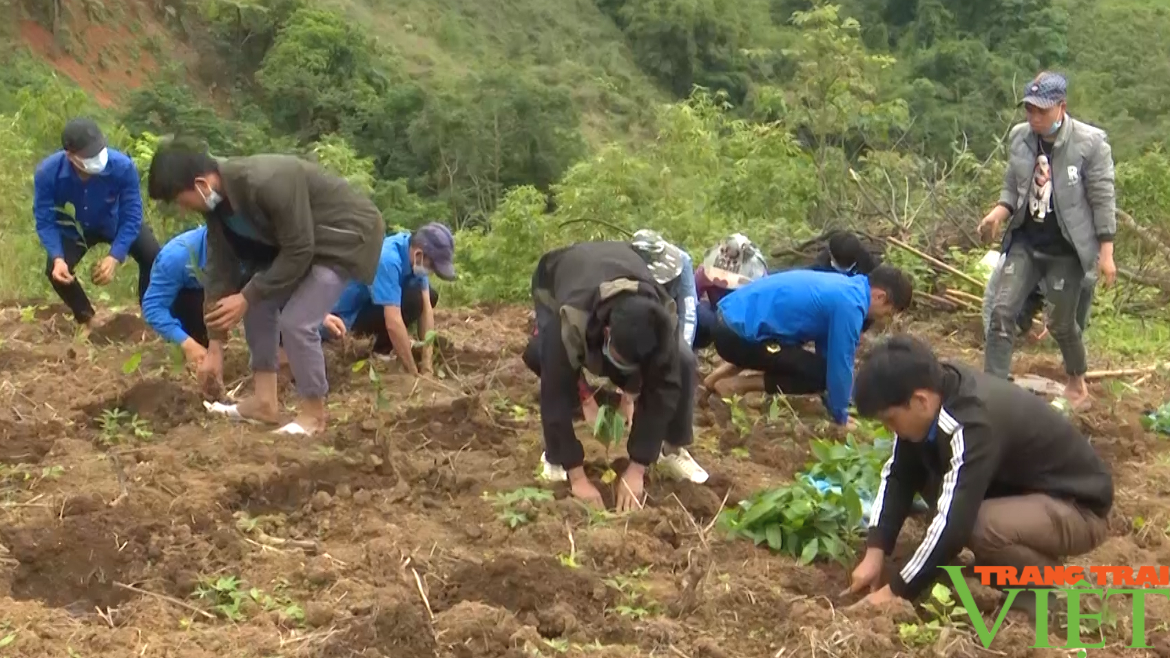 Trồng cây gây rừng, giữ màu xanh cho vùng biên giới Sông Mã - Ảnh 3.