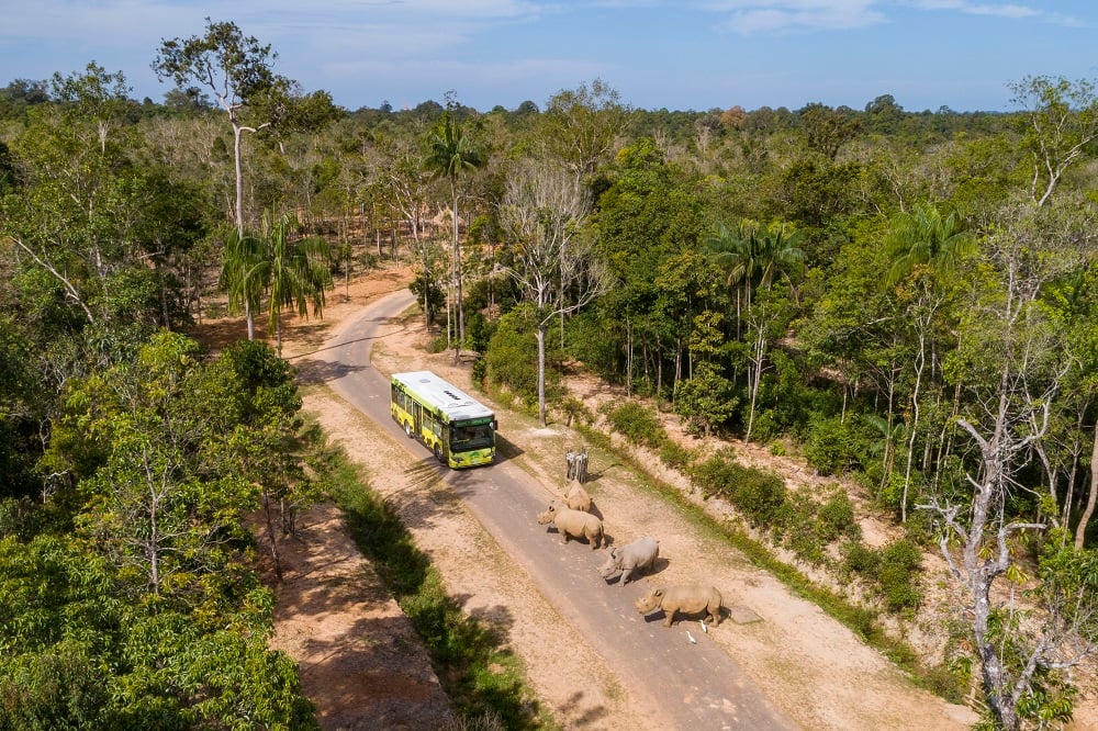 Vinpearl Safari Phú Quốc lọt top đầu vườn thú và thủy cung tại Châu Á - Ảnh 1.