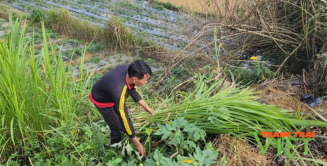 Nỗ lực giảm nghèo bền vững ở một xã vùng cao của Lai Châu - Ảnh 3.