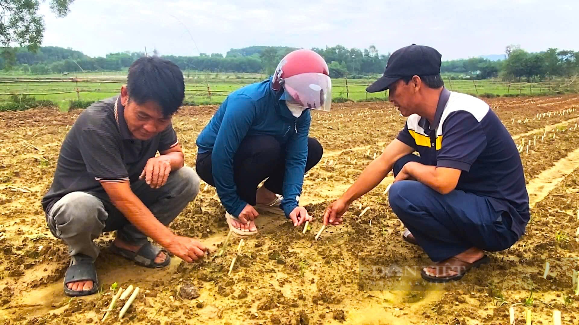 Nuôi con “ăn lên”, giúp nông dân Hà Tĩnh giàu lên trông thấy - Ảnh 6.