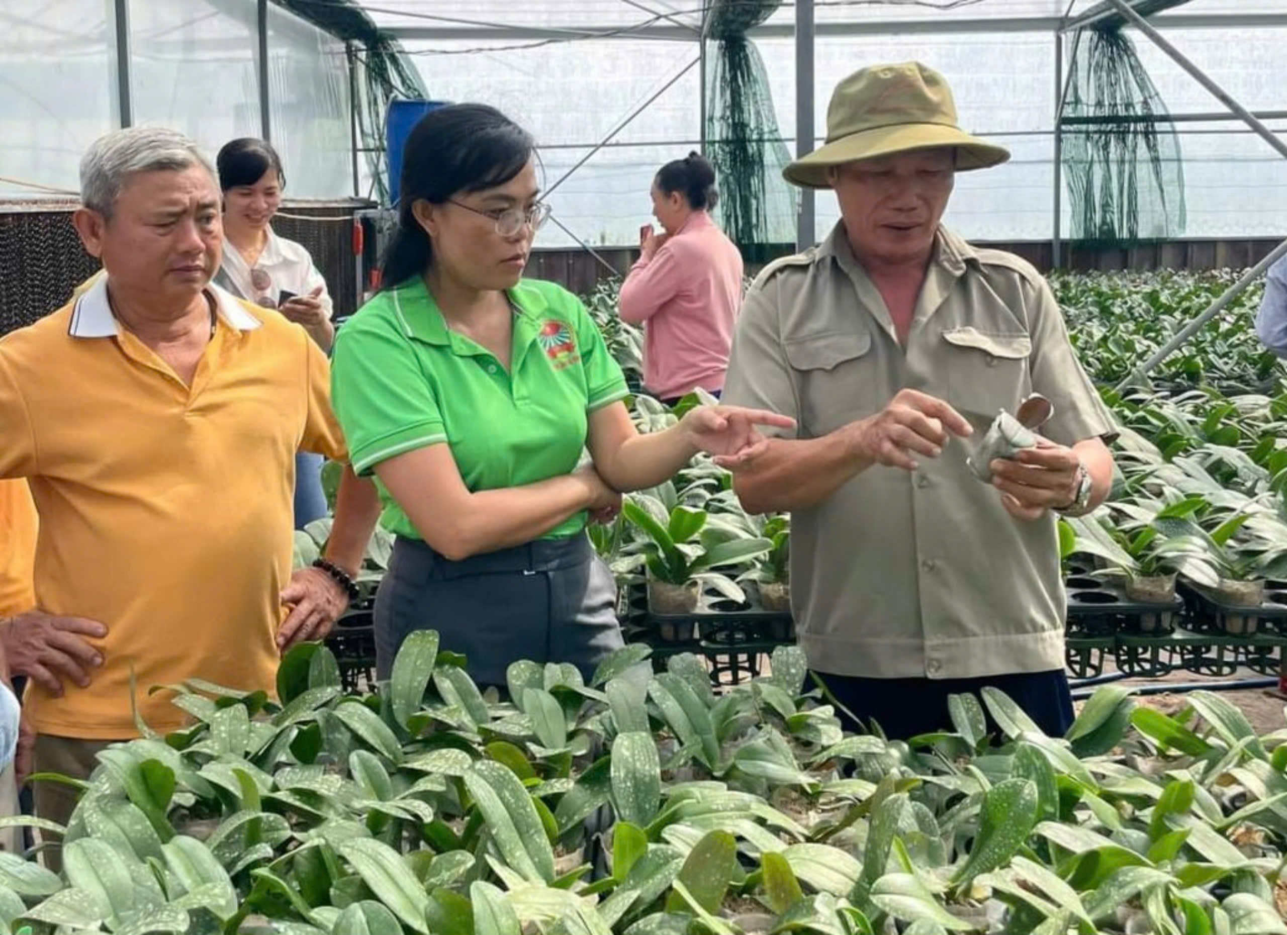 Mô hình Tổ khuyến nông cộng đồng có gì đặc biệt? - Ảnh 1.