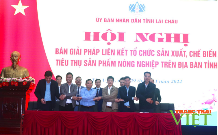 Lai Châu chú trọng phát triển liên kết sản xuất gắn với tiêu thụ sản phẩm nông nghiệp - Ảnh 3.