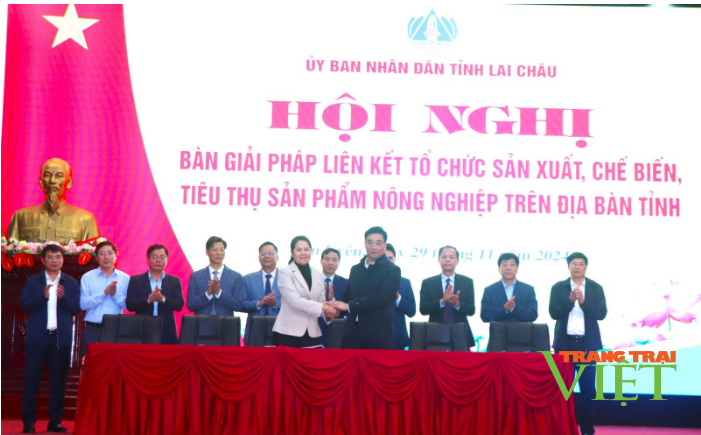 Lai Châu chú trọng phát triển liên kết sản xuất gắn với tiêu thụ sản phẩm nông nghiệp - Ảnh 4.