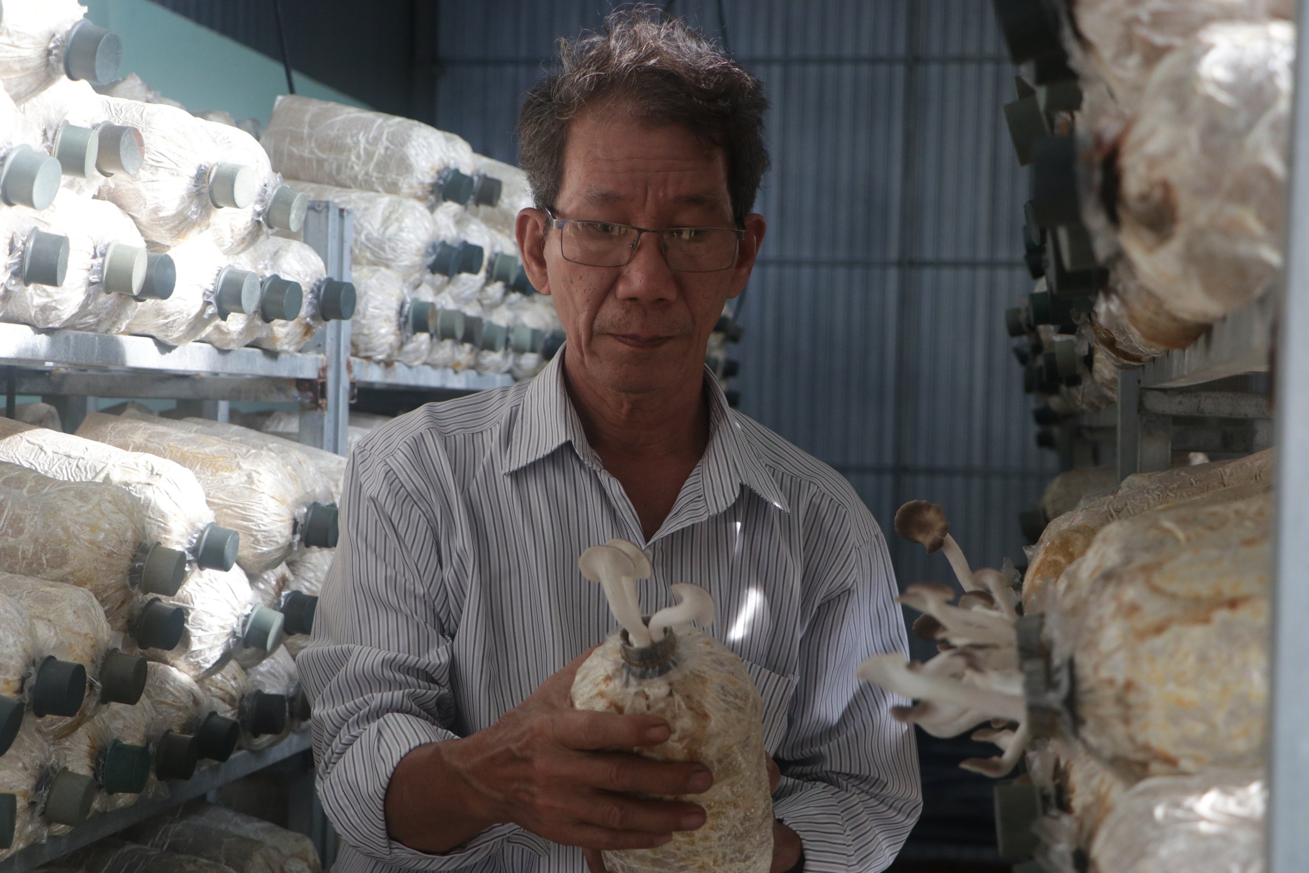 Xây dựng công trình trên đất nông nghiệp ở TP.HCM: Làm sao để hiện thực hóa? (bài cuối) - Ảnh 3.