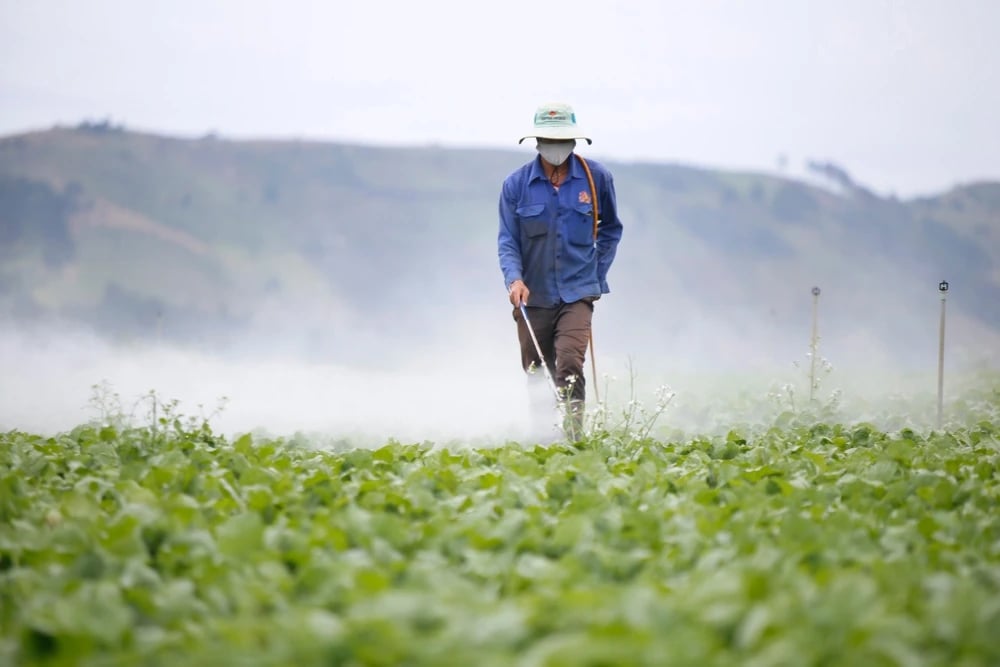 Tọa đàm "Quy trình nghiên cứu, phát triển và quản lý thuốc bảo vệ thực vật" - Ảnh 1.