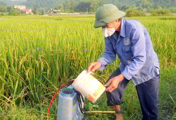 Tọa đàm "Quy trình nghiên cứu, phát triển và quản lý thuốc bảo vệ thực vật" - Ảnh 1.
