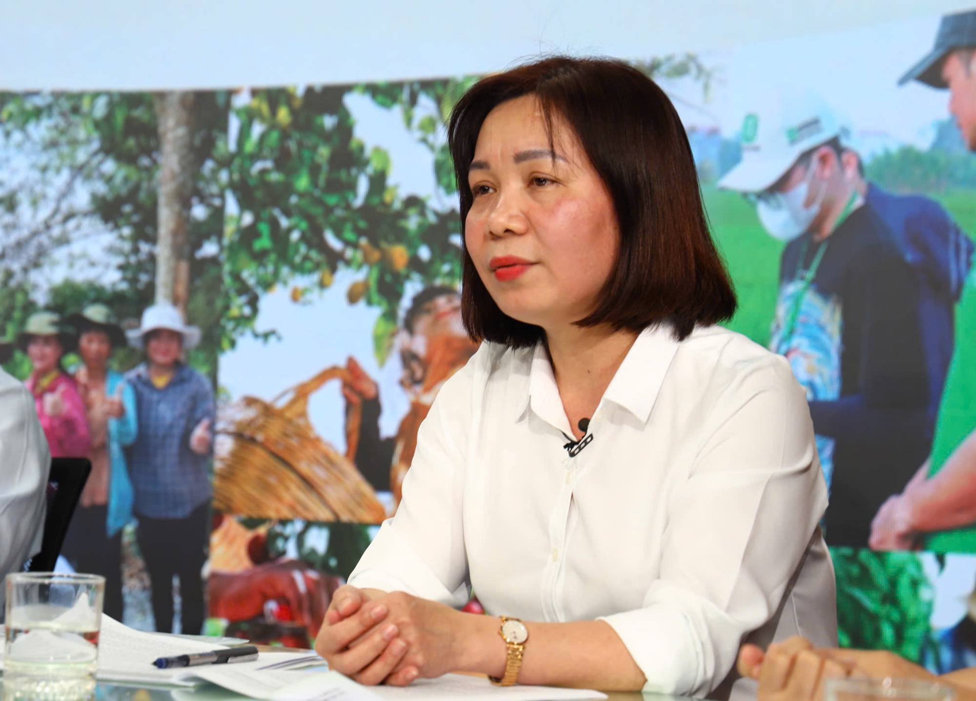 Tọa đàm "Quy trình nghiên cứu, phát triển và quản lý thuốc bảo vệ thực vật" - Ảnh 1.
