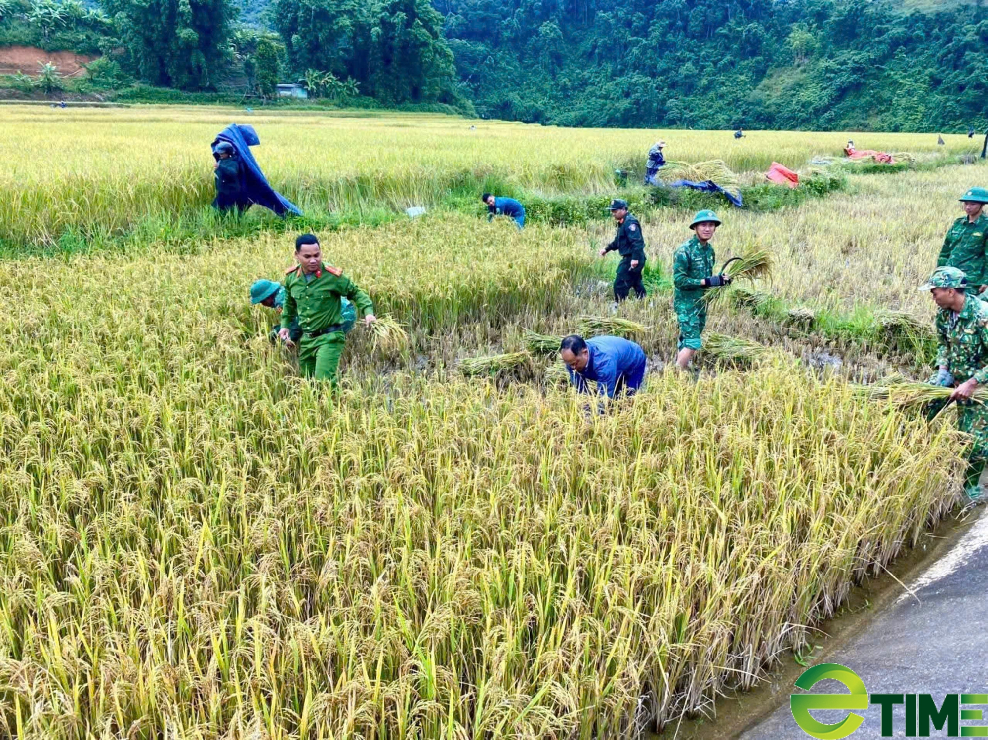 Quảng Nam tổ chức nhiều hoạt động kỷ niệm 80 năm Ngày thành lập Quân đội nhân dân Việt Nam- Ảnh 3.