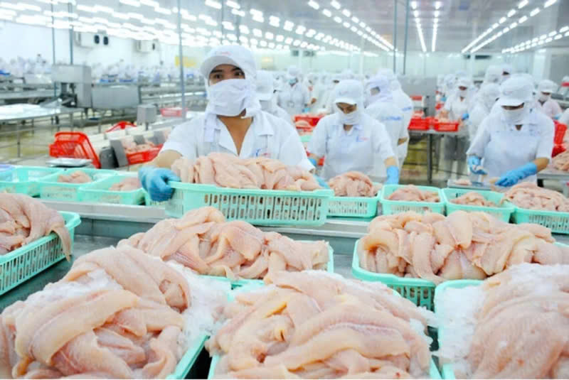 cá tra Việt Nam thêm 1 đối thủ trên bàn ăn Trung Quốc- Ảnh 1. cá tra Việt Nam thêm 1 đối thủ trên bàn ăn Trung Quốc- Ảnh 1.