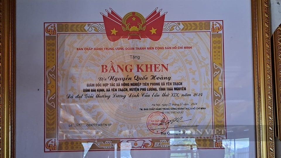 Thanh niên Thái Nguyên nhận giải thưởng Lương Định Của năm 2024 là người đam mê cây dược liệu từ nhỏ - Ảnh 7.